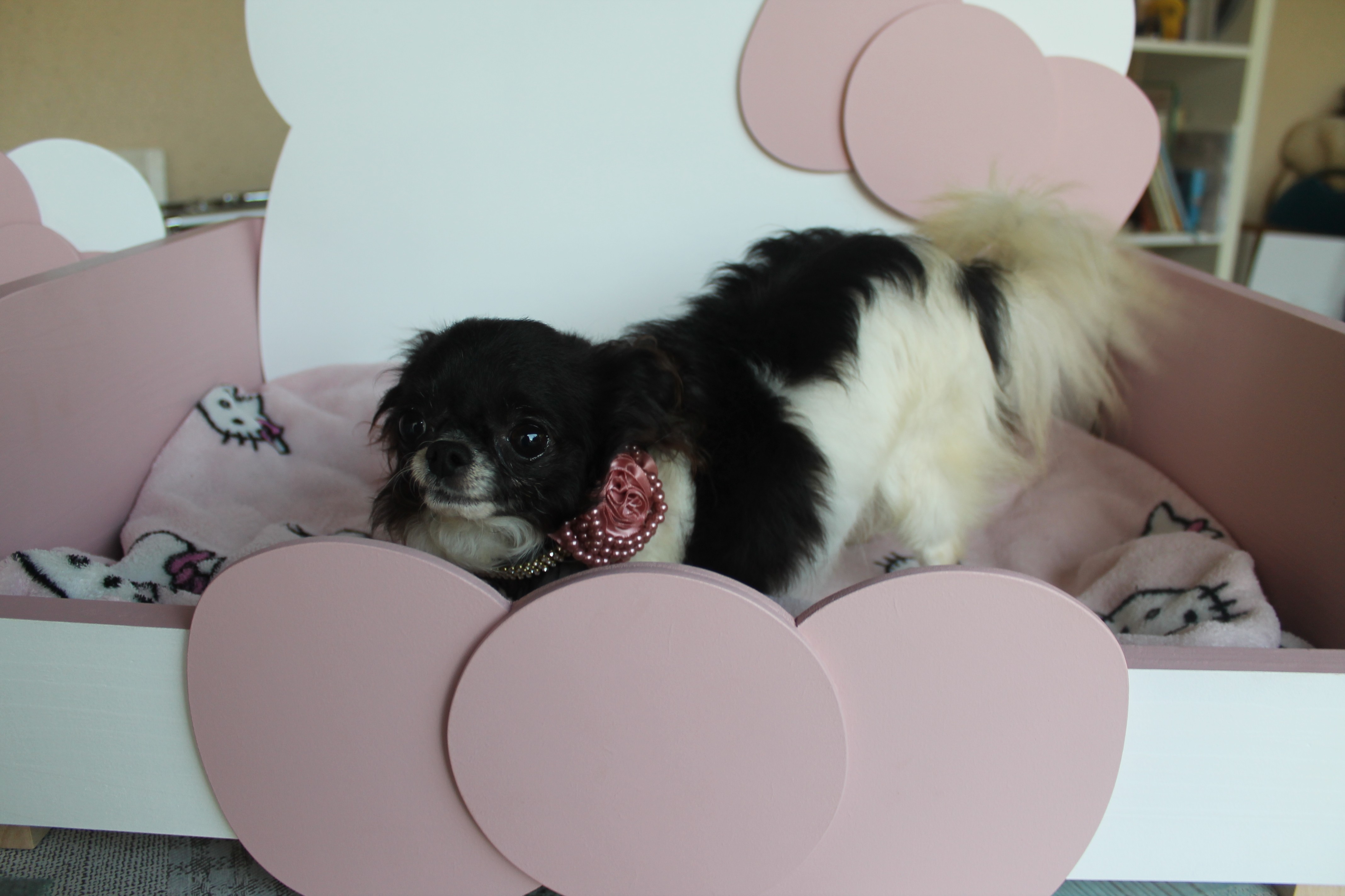 Lilly-rose Du Massif De La Treille